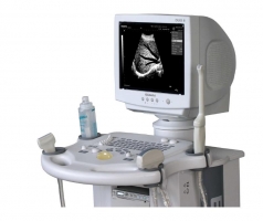 ECG-0524